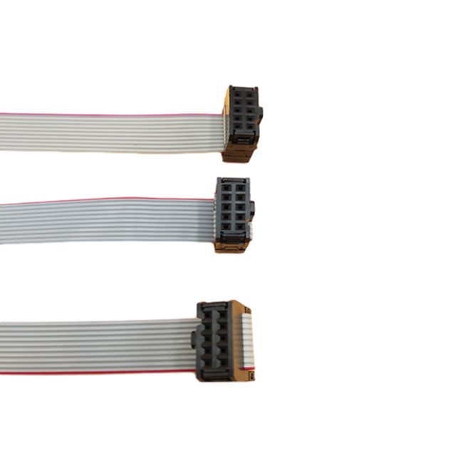 ひだ用具のIDC 10 Pin 2.54mmピッチのメス コネクタが付いている平らなリボン・ケーブル アセンブリ